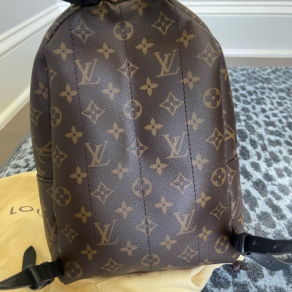 Louis Vuitton Palm Springs PM Monogram Black - Picture 9 of 16